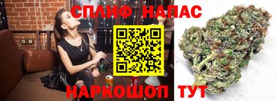 эйфоретик Партизанск