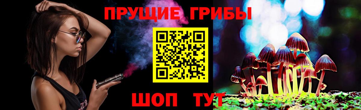 Самара  Псилоцибиновые грибы Magic Shrooms  Вход с VPN  Псилоцибиновые грибы мицелий 